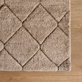 Arlot Rug (6'1" x 8'10")