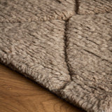 Arlot Rug (6'1" x 8'10")