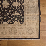 Tapis Thaddeus (10'1" x 14'0")
