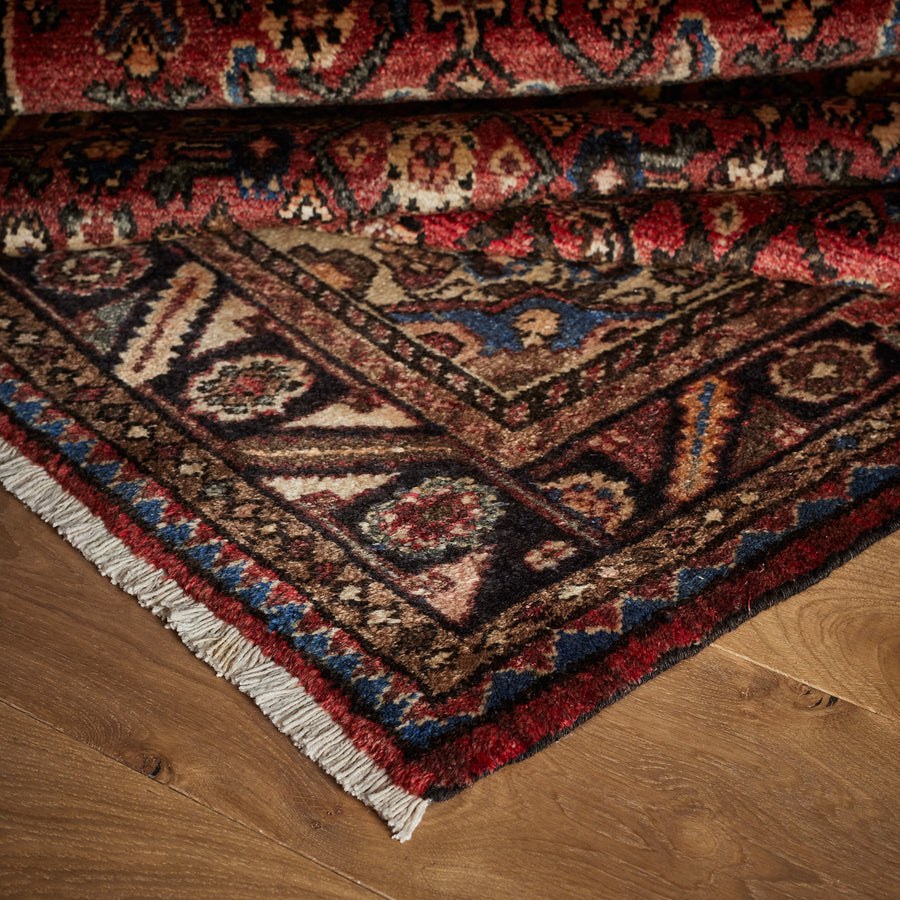 Pascuale Rug (3'11" x 10'5")