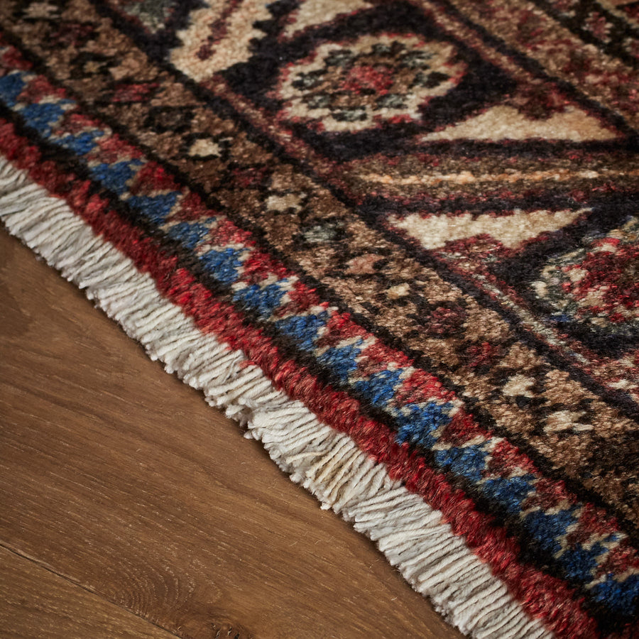 Pascuale Rug (3'11" x 10'5")