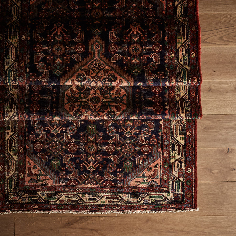 Venosa Rug (3'9" x 10'0")