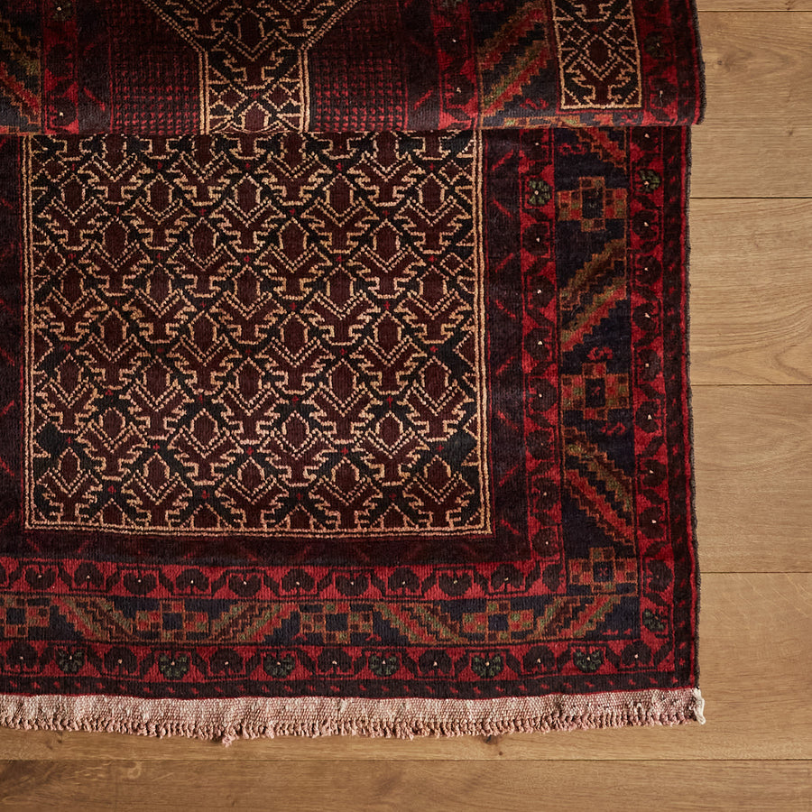 Adonis Rug (2'11" x 4'10")