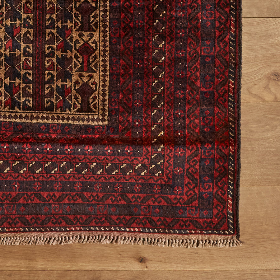 Souza Rug (2'11" x 5'3")