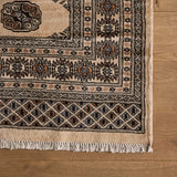 Perras Rug (8'2" x 10'8")