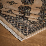 Perras Rug (8'2" x 10'8")