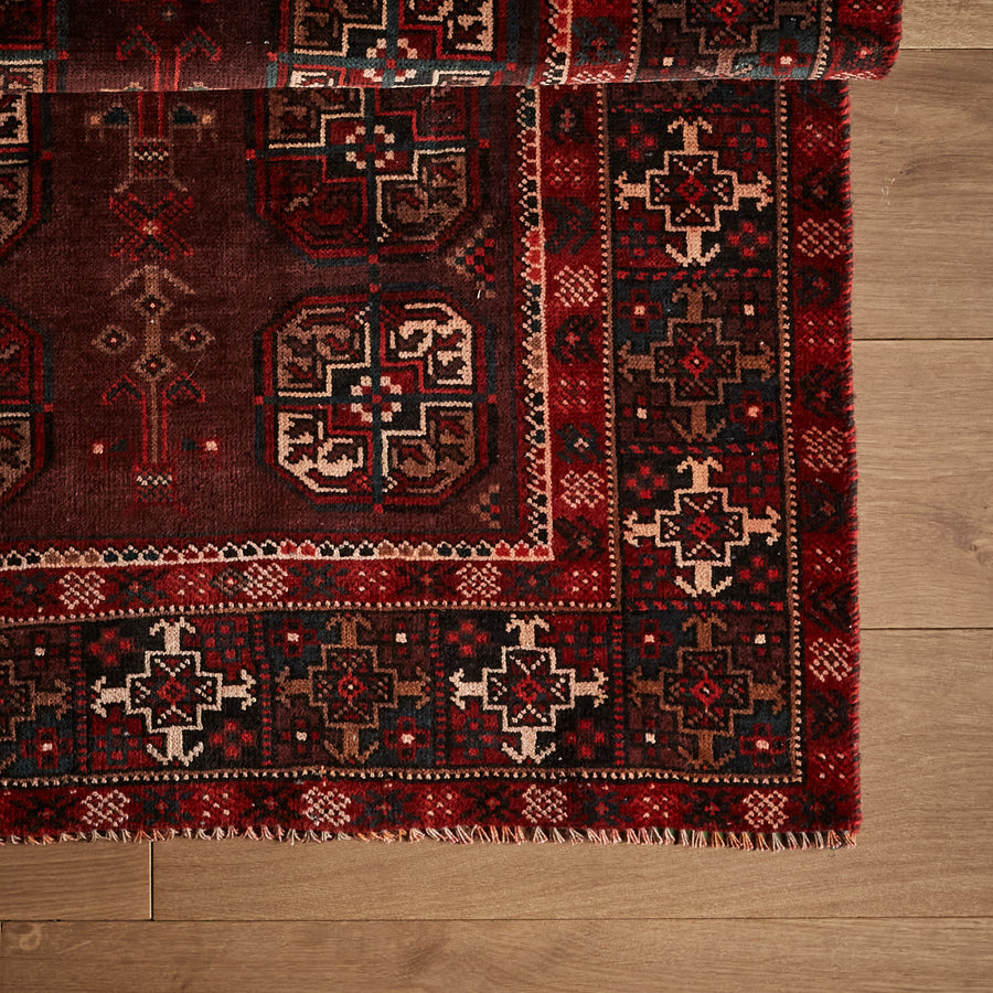 Zardan Rug (3'11" x 9'5")