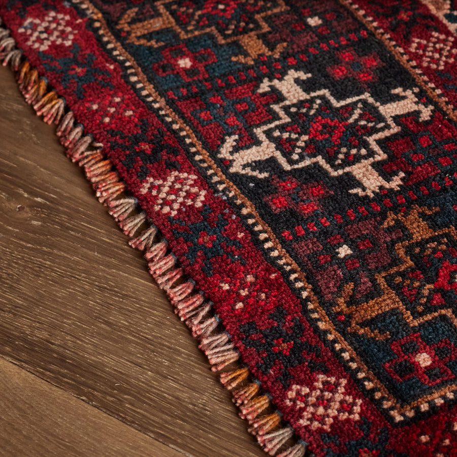 Zardan Rug (3'11" x 9'5")