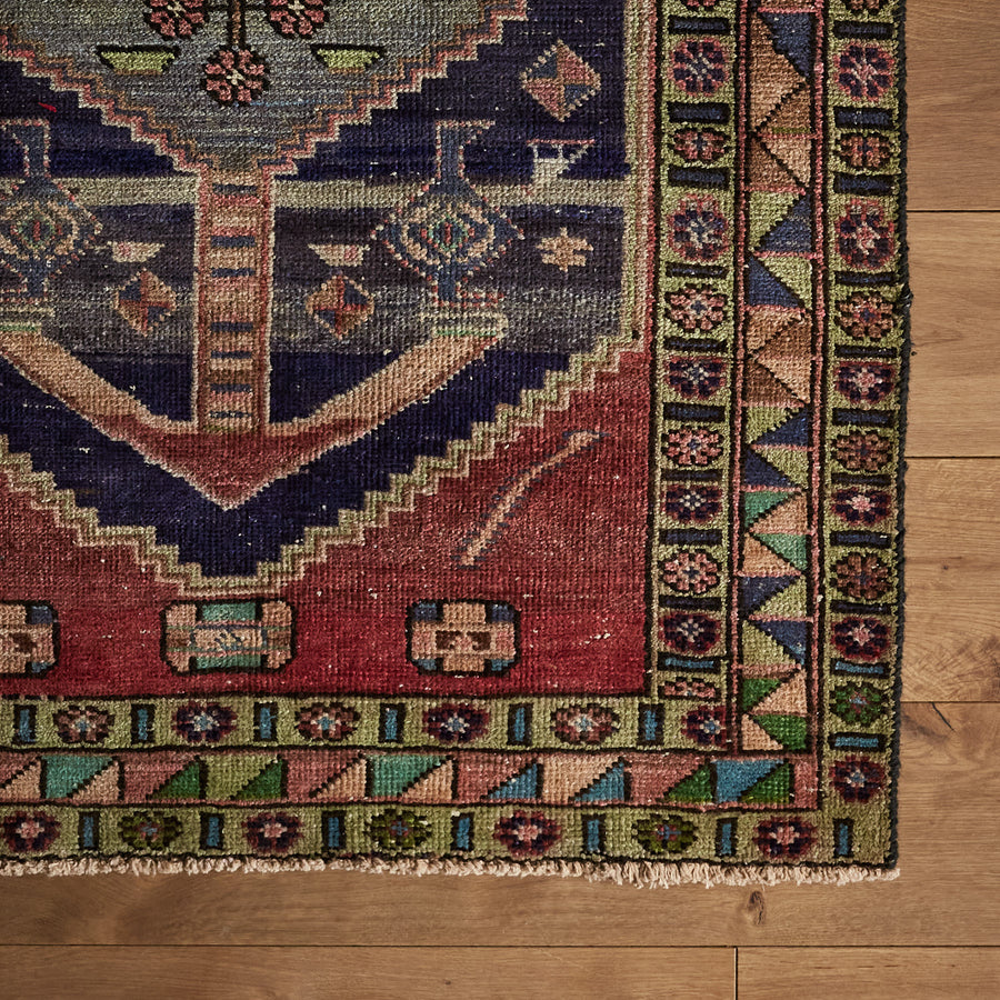 Kusi Rug (3'6" x 12'10")