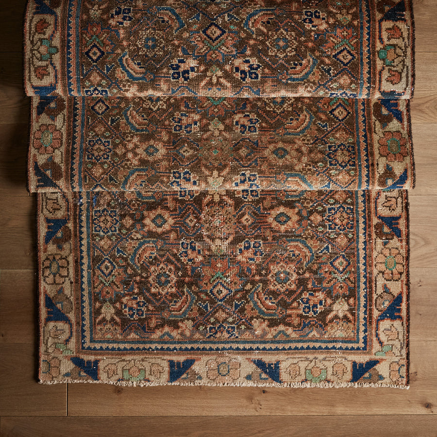 Gabriel Rug (3'2" x 9'9")