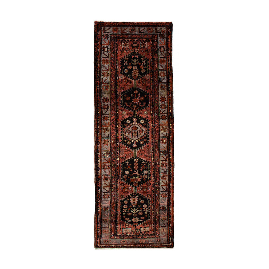 Farida Rug (3'4" x 9'3")