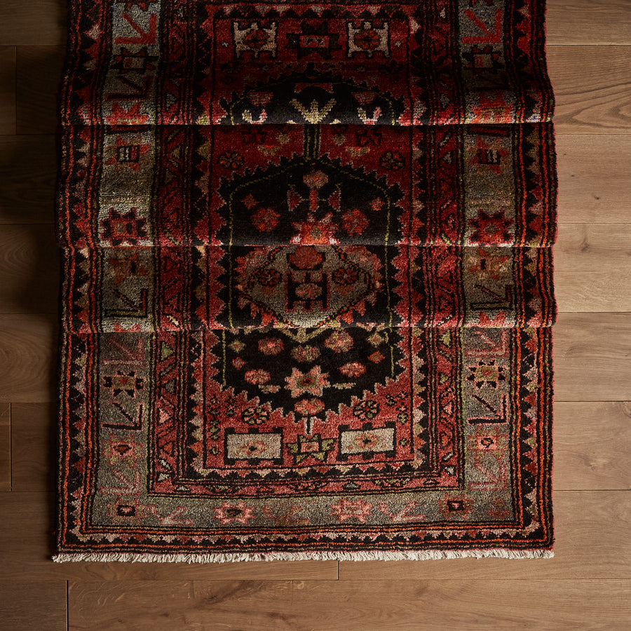 Farida Rug (3'4" x 9'3")