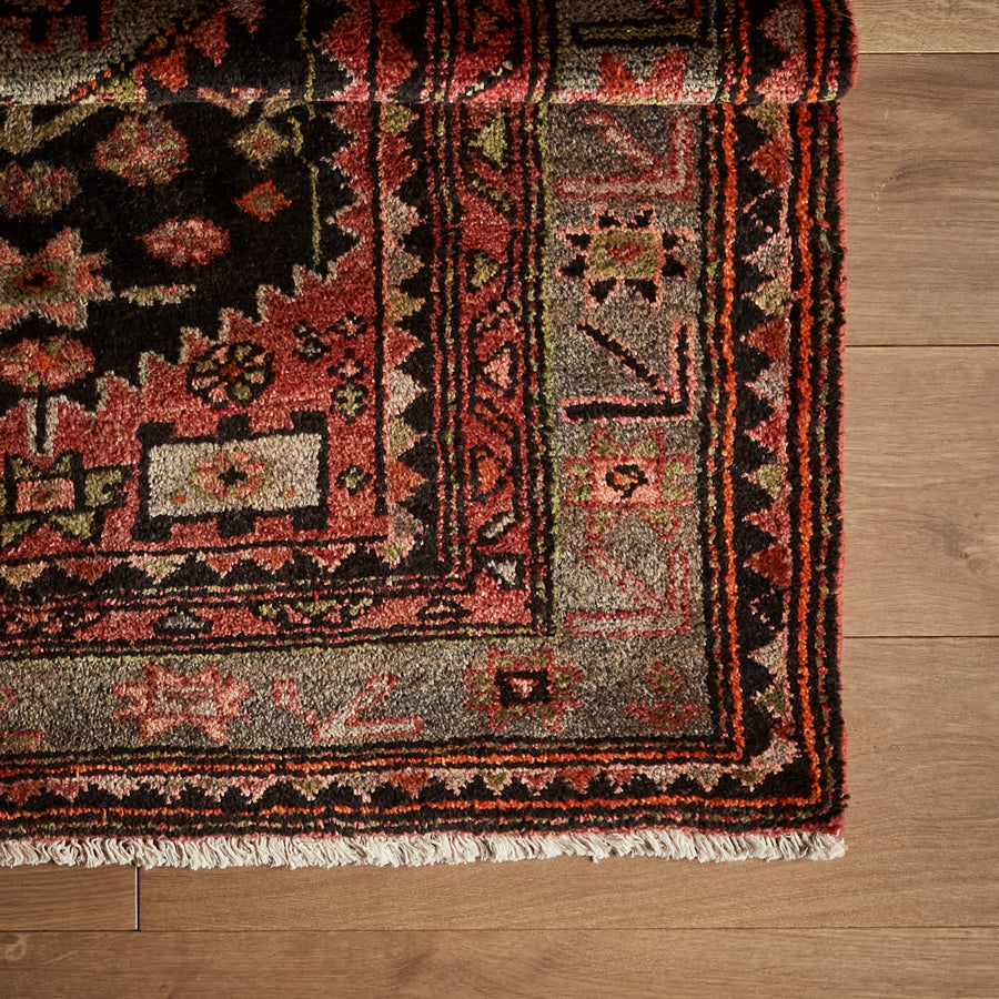 Farida Rug (3'4" x 9'3")