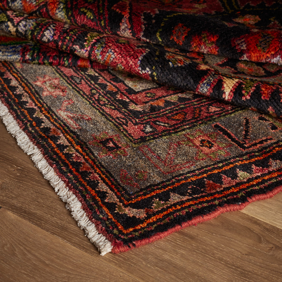 Farida Rug (3'4" x 9'3")