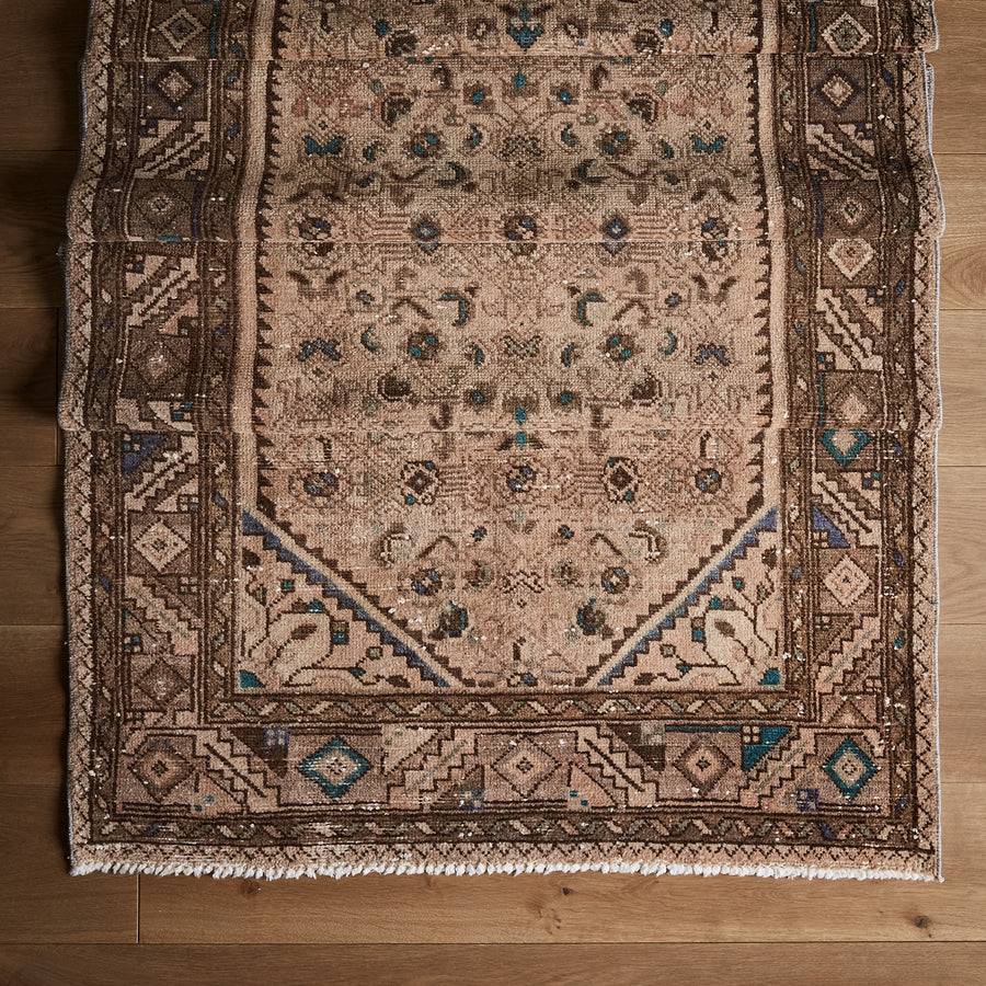 Elijah Rug (3'5" x 9'6")