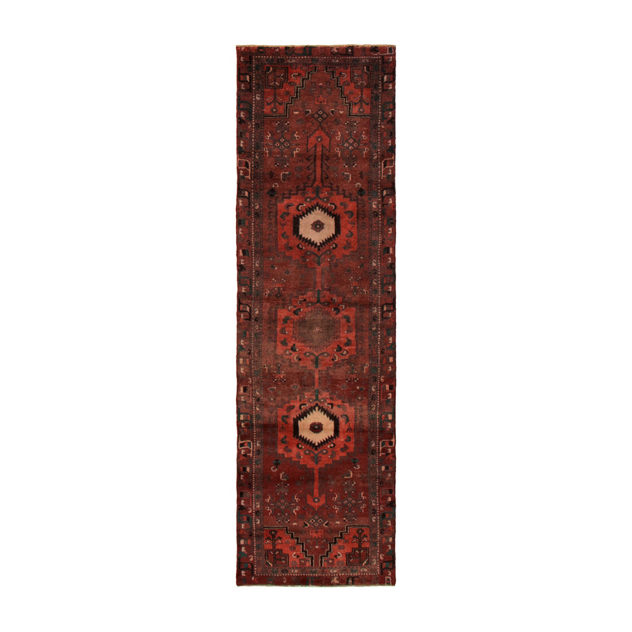 Anca Rug (2'11" x 9'10")