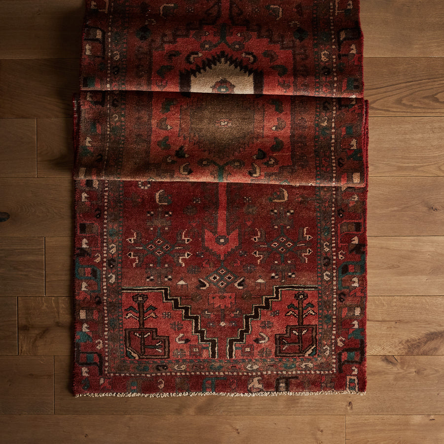 Anca Rug (2'11" x 9'10")