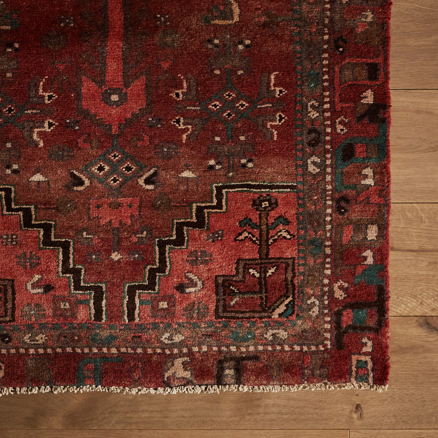 Anca Rug (2'11" x 9'10")