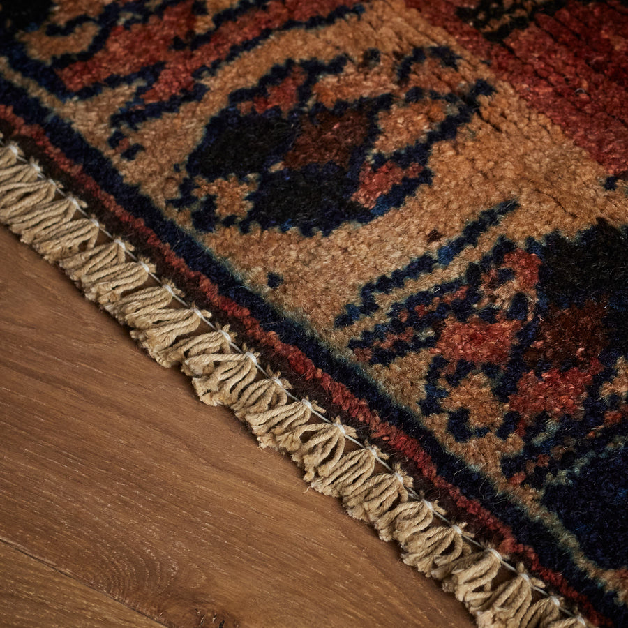 Mauricio Rug (4'3" x 11'4")