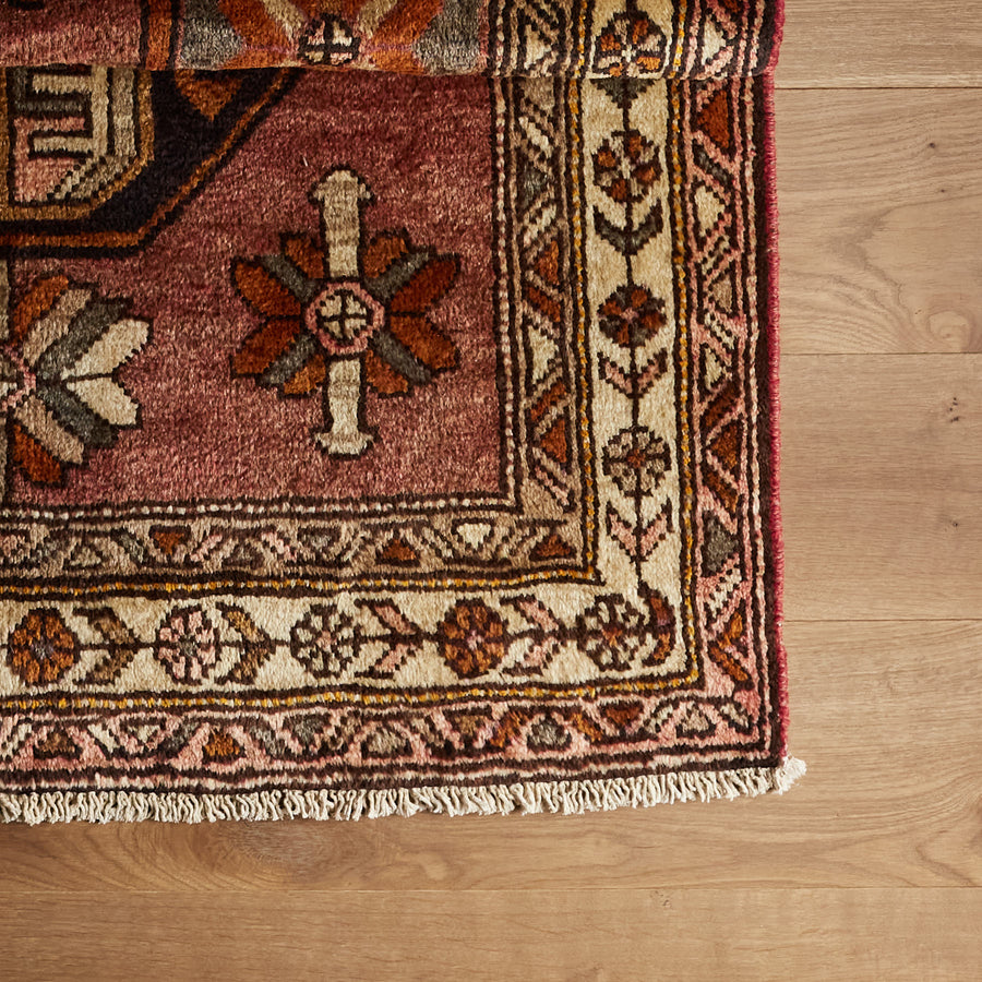 Bolsa Rug (3'11" x 12'6")