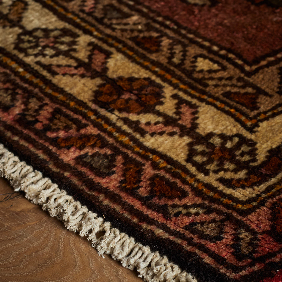 Bolsa Rug (3'11" x 12'6")