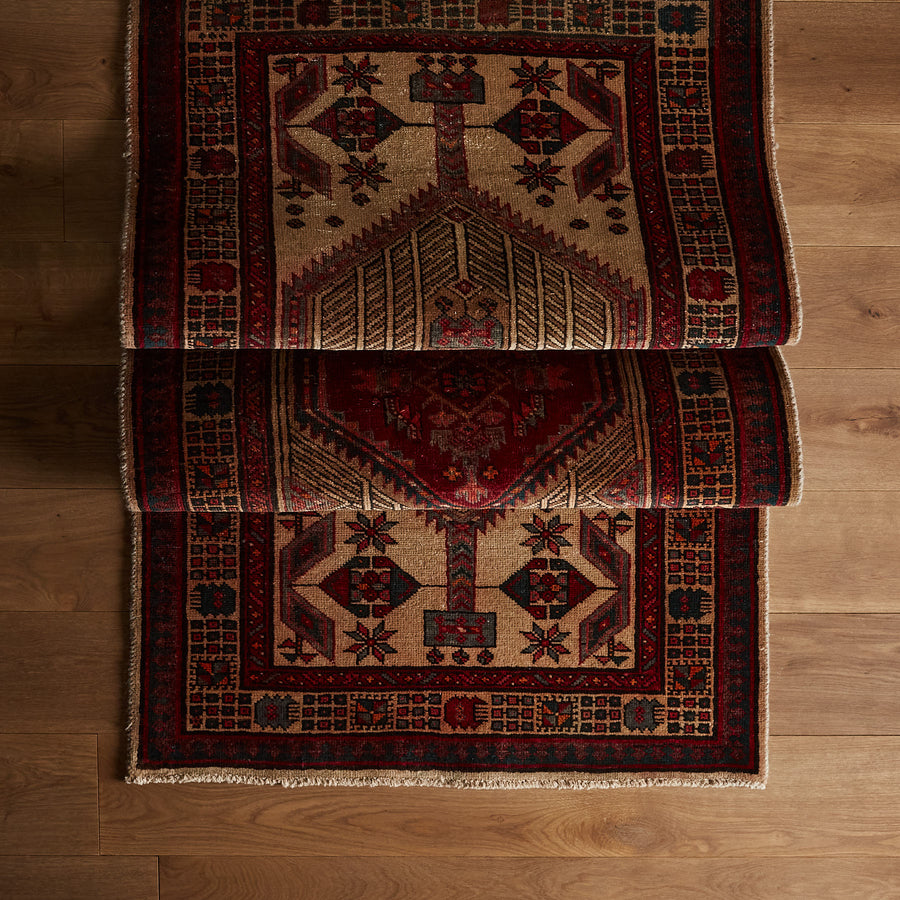 Bernado Rug (3'3" x 7'9")