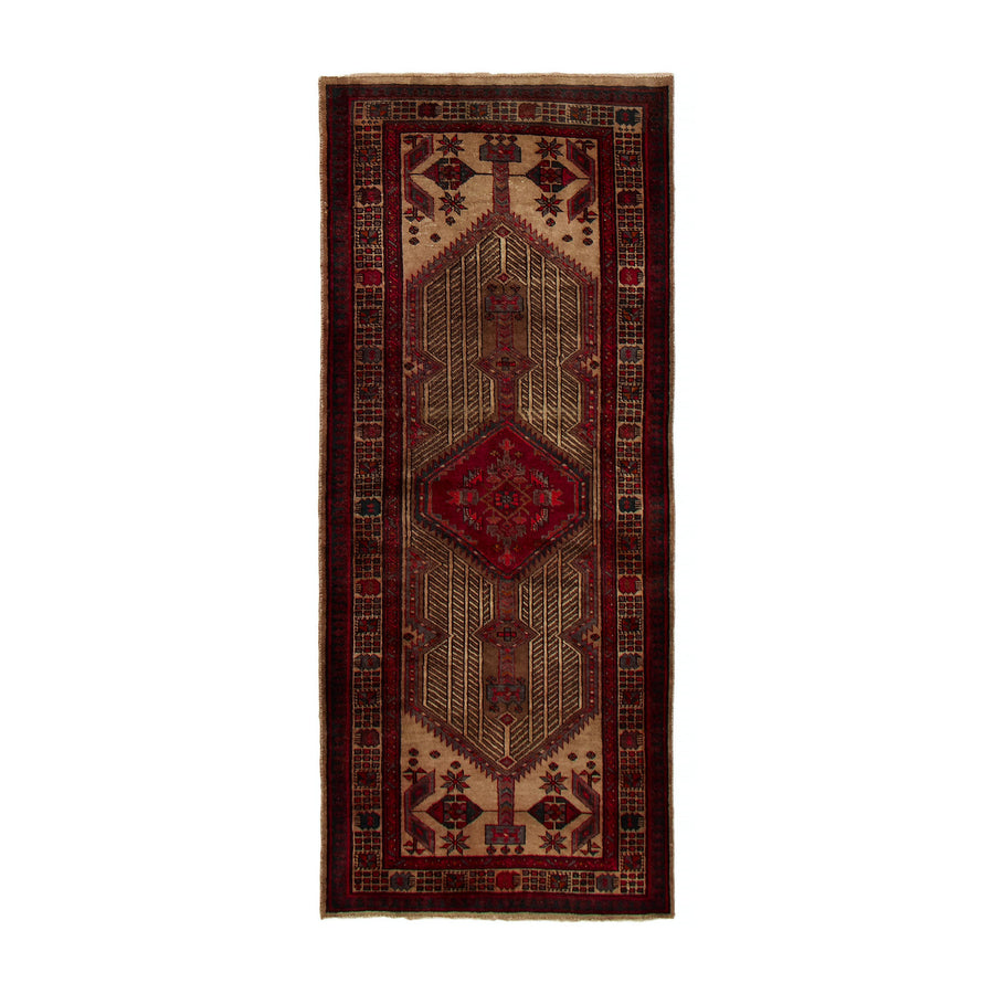 Bernado Rug (3'3" x 7'9")