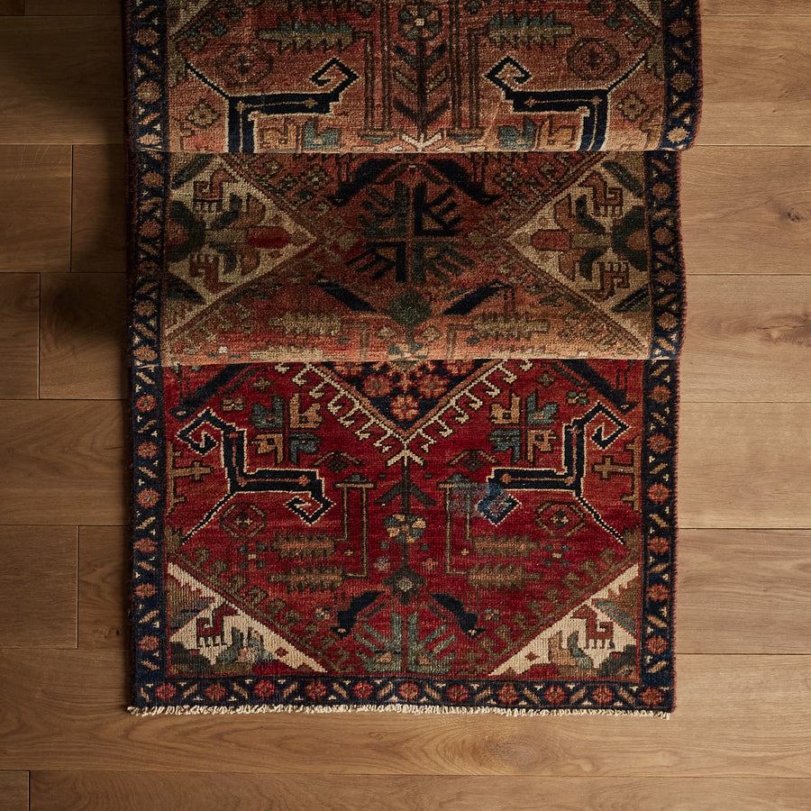 Dessey Rug (2'7" x 11'5")