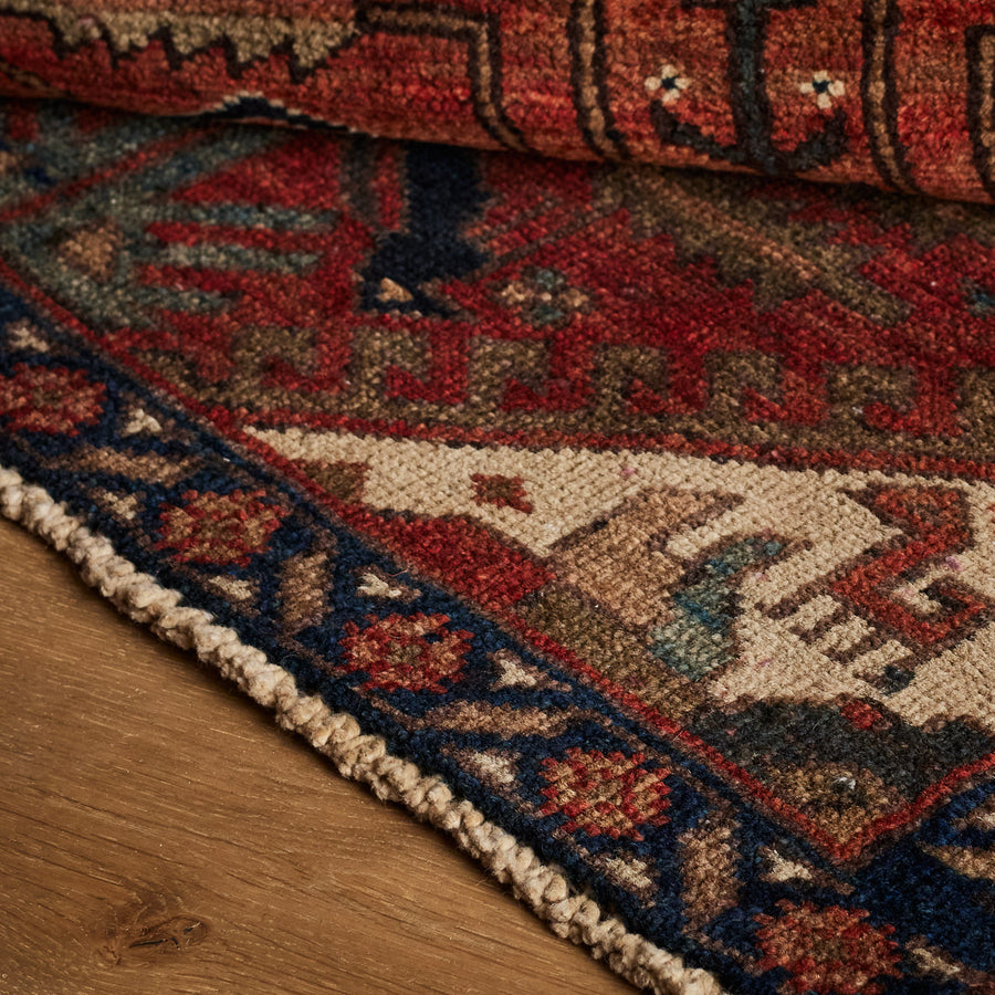 Dessey Rug (2'7" x 11'5")