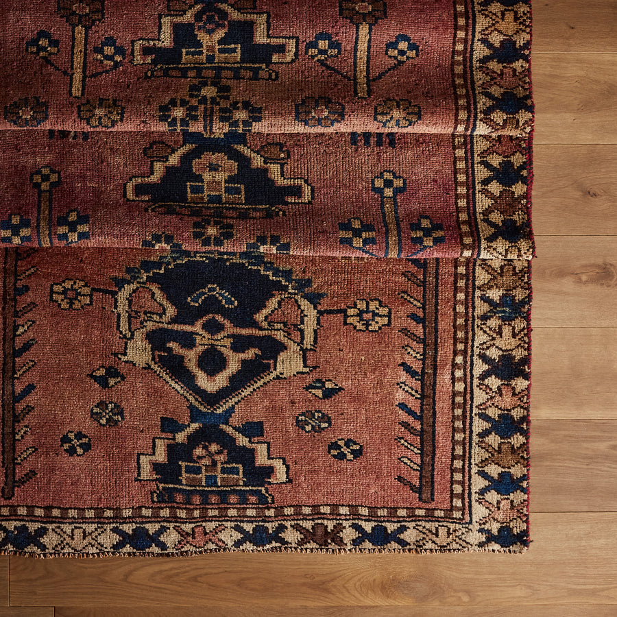 Tori Rug  (4'1" x 13'2")