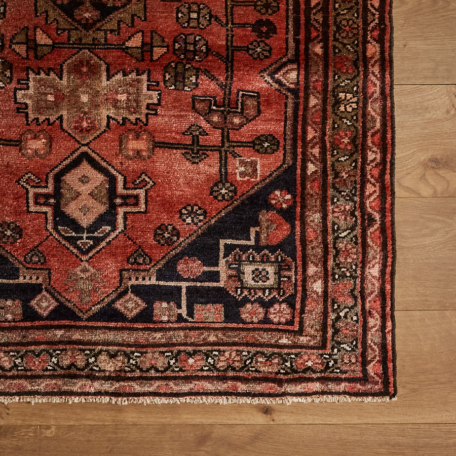 Marisol Rug (3'5" x 9'6")