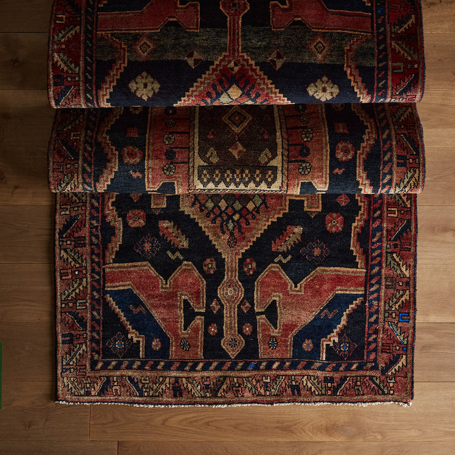 Venture Rug (3'10" x 9'10")