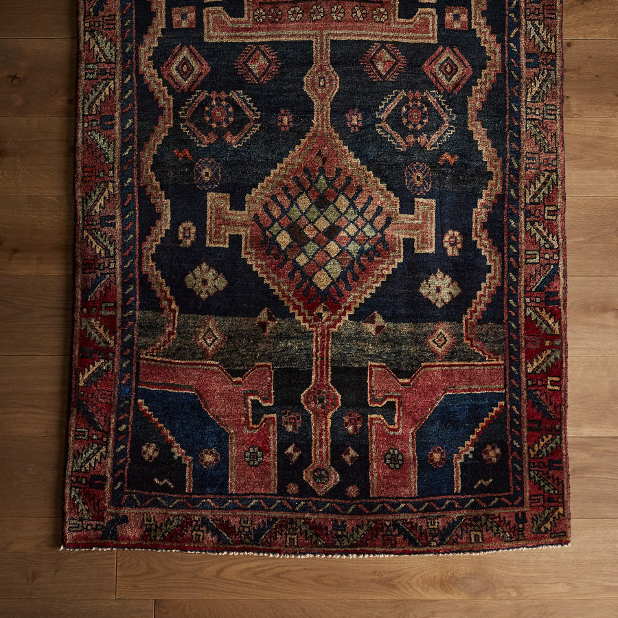 Venture Rug (3'10" x 9'10")