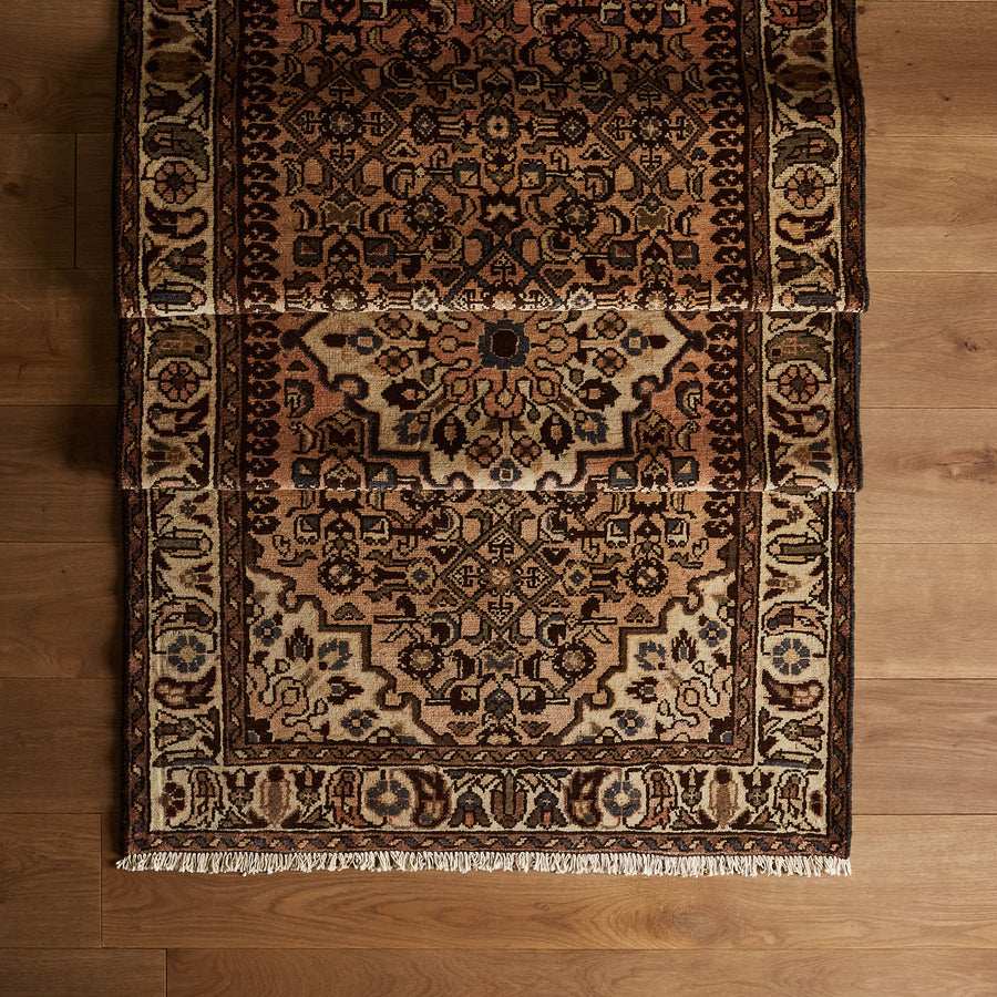 Ronissia Rug (3'5" x 10'3")