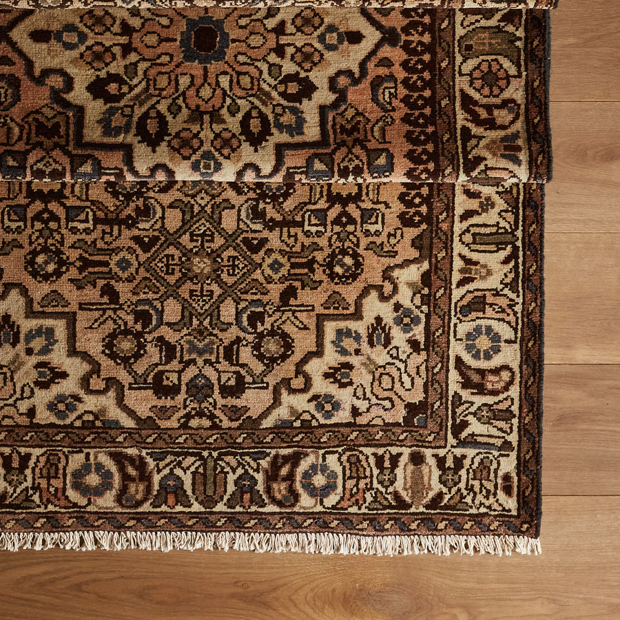 Ronissia Rug (3'5" x 10'3")