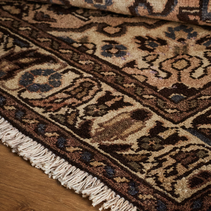 Ronissia Rug (3'5" x 10'3")