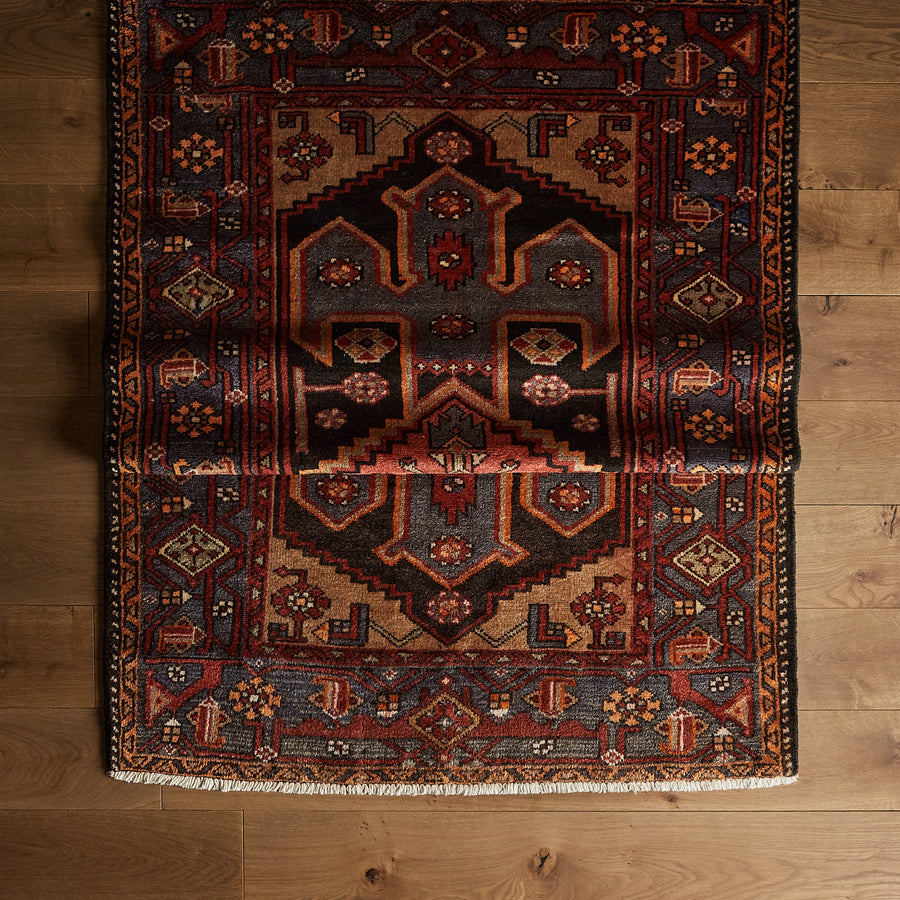 Ricardo Rug (4'2" x 6'8")