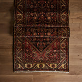 Lemmah Rug (3'3" x 9'10")