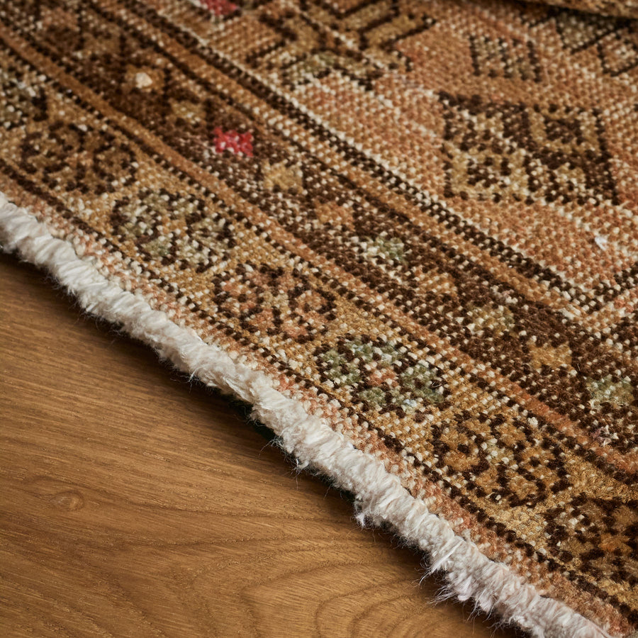 Cassia Rug (2'10" x 11'8")