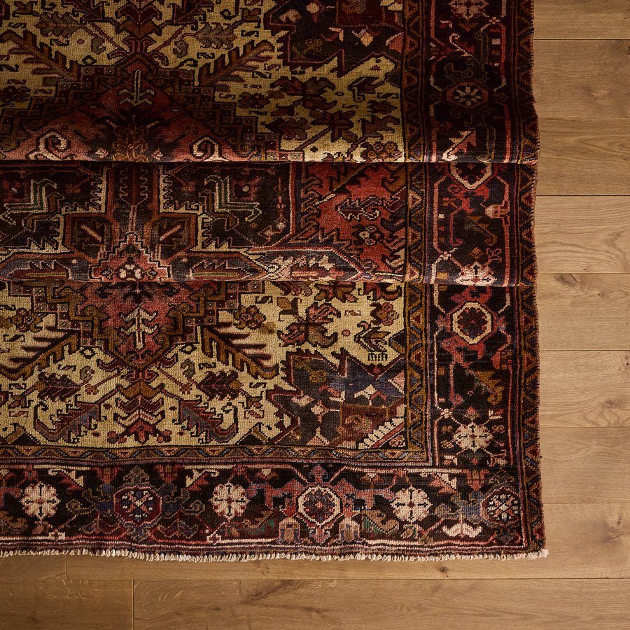 Drusus Rug (6'6" x 8'9")