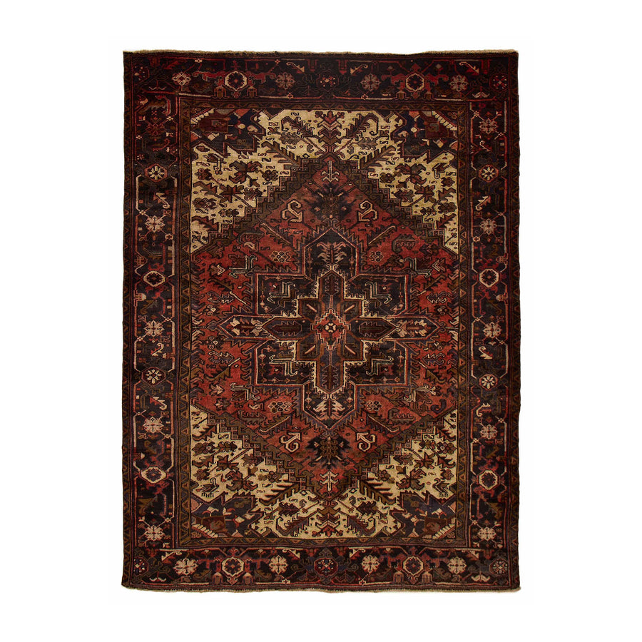 Drusus Rug (6'6" x 8'9")
