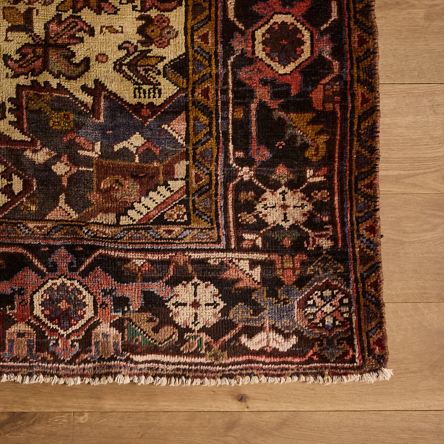 Drusus Rug (6'6" x 8'9")