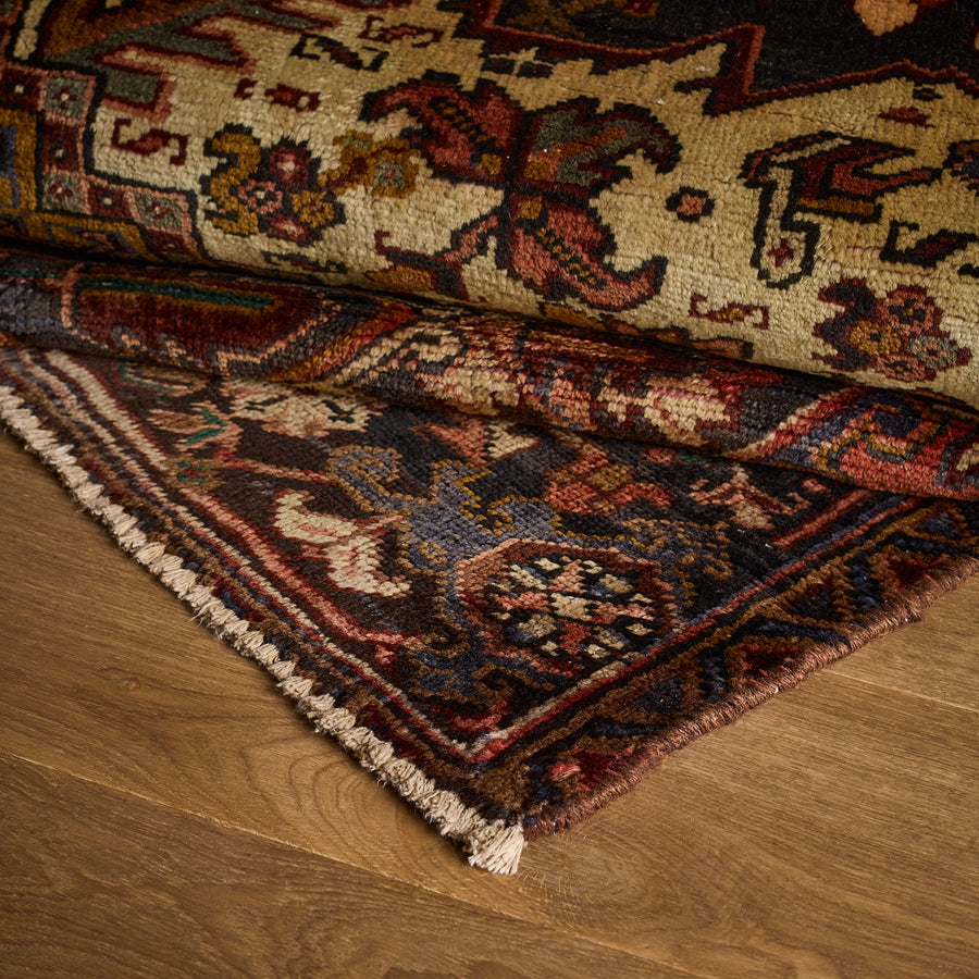 Drusus Rug (6'6" x 8'9")