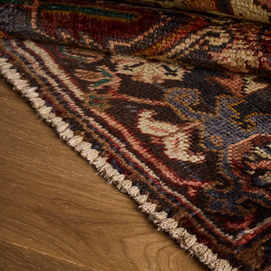 Drusus Rug (6'6" x 8'9")