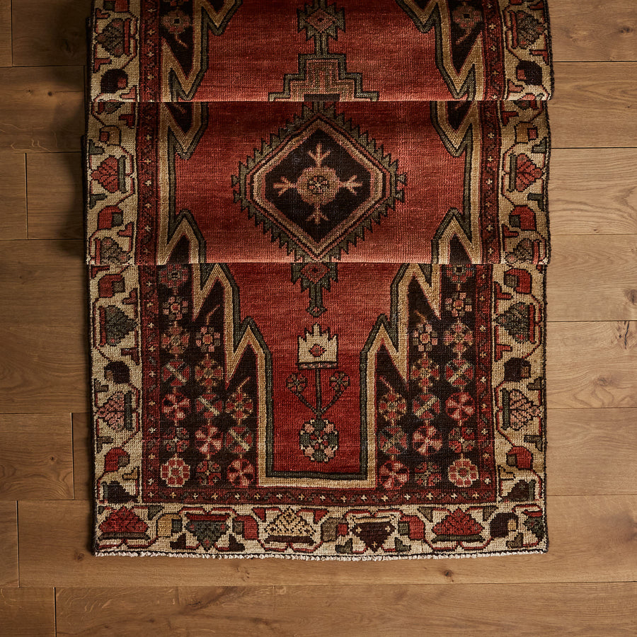 Barrias Rug (3'3" x 9'2")