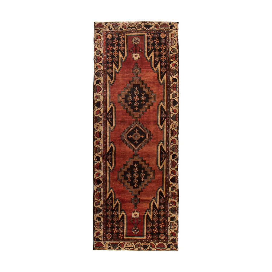 Barrias Rug (3'3" x 9'2")