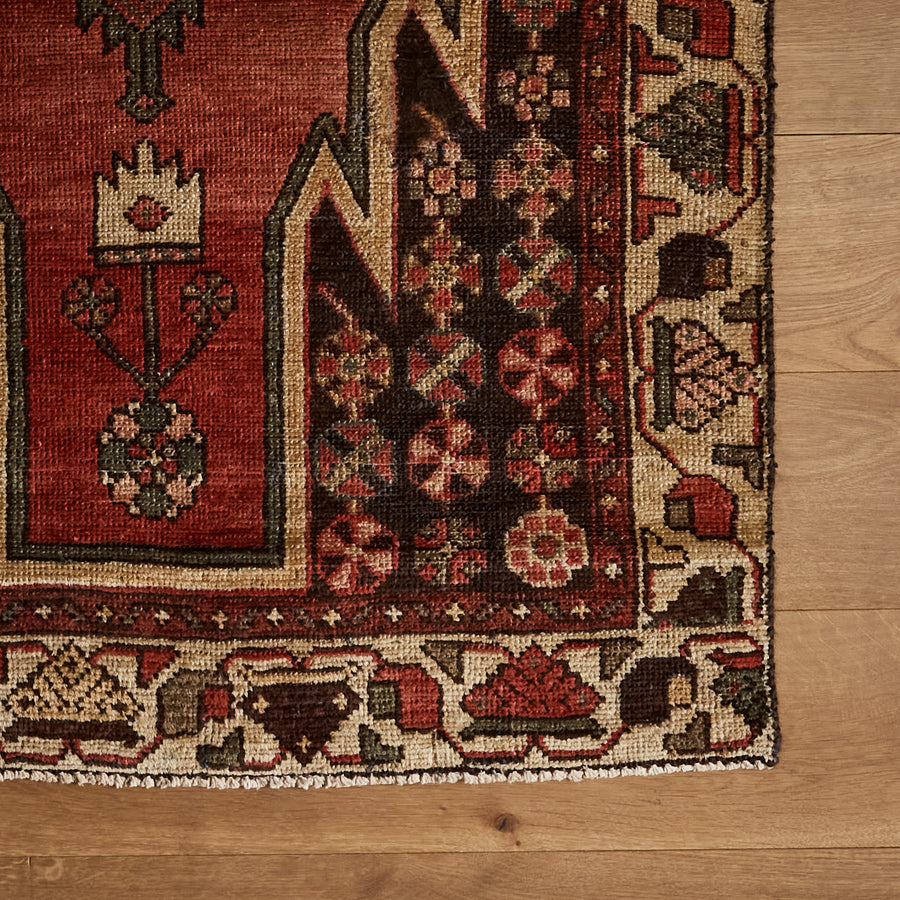 Barrias Rug (3'3" x 9'2")