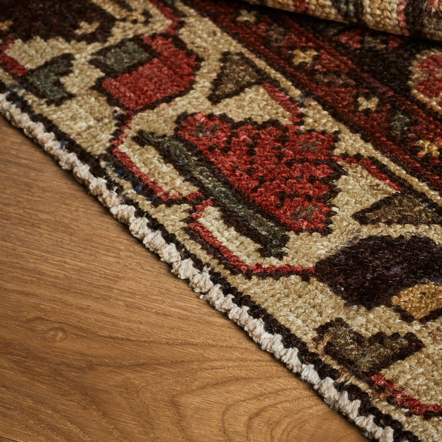 Barrias Rug (3'3" x 9'2")