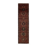 Dan Rug (3'5" x 14'10")