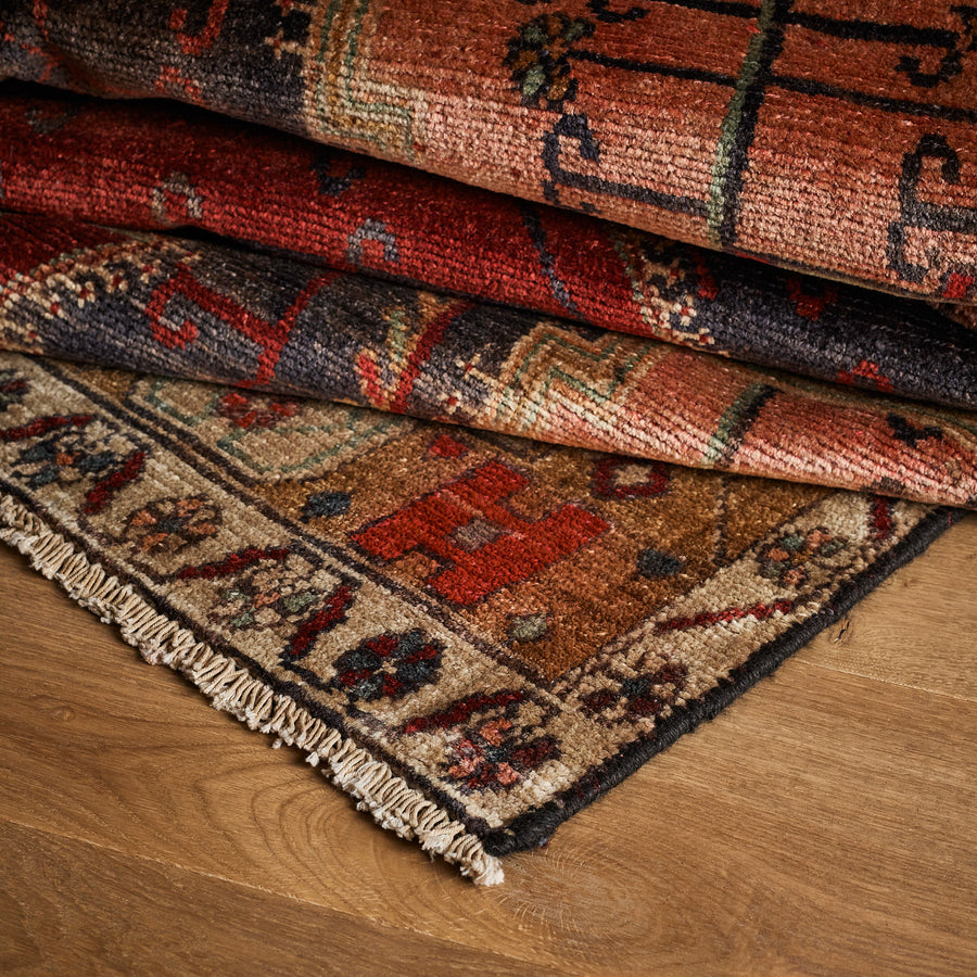 Antonia Rug (5'3" x 11'6")